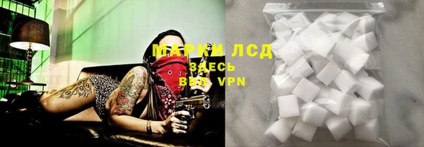 ешки Аркадак