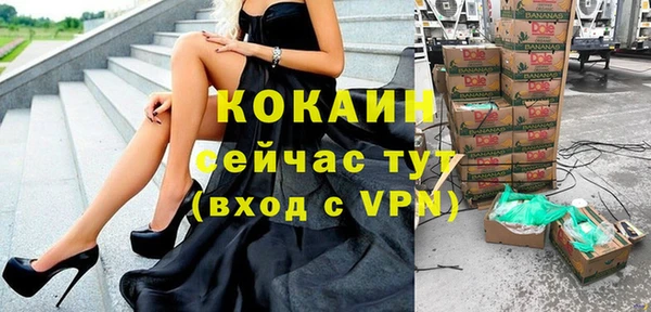 ешки Аркадак
