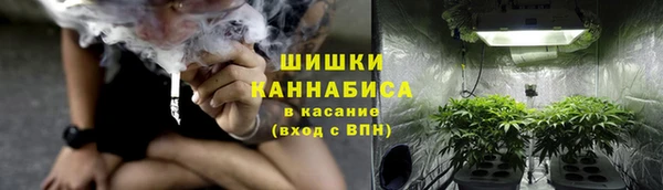 меф Арсеньев