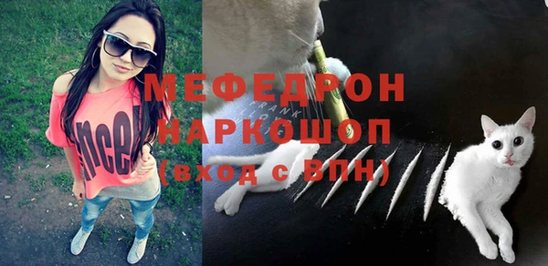 ешки Аркадак