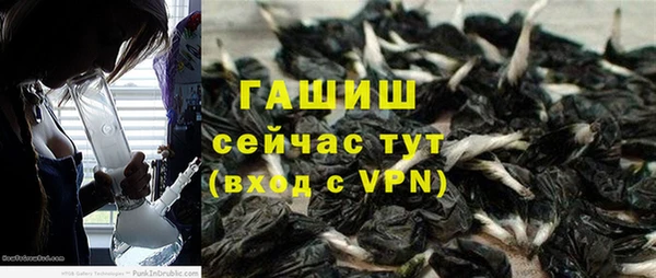 ешки Аркадак