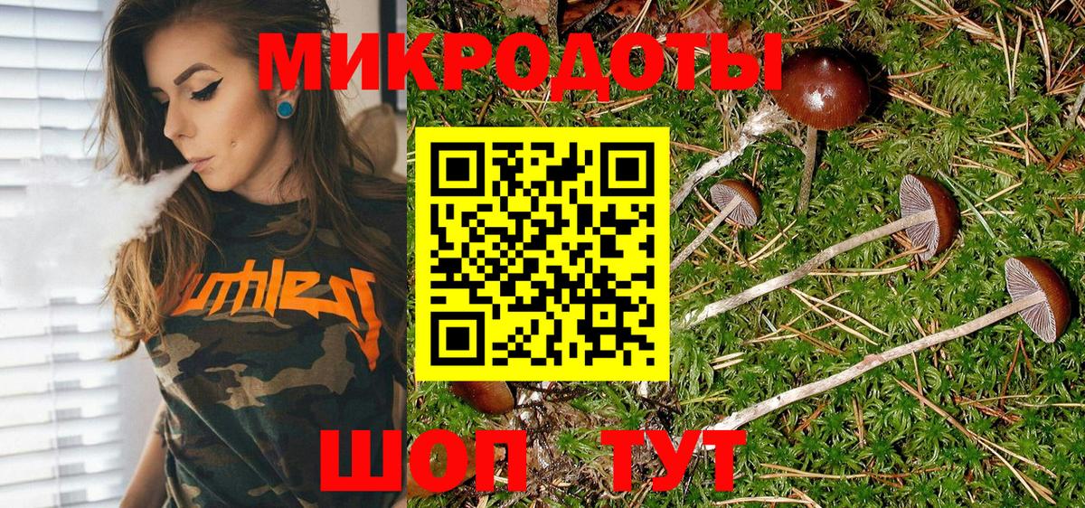 Копейск  Галлюциногенные грибы прущие грибы  Вход с VPN  купить  цена  Псилоцибиновые грибы MAGIC MUSHROOMS 