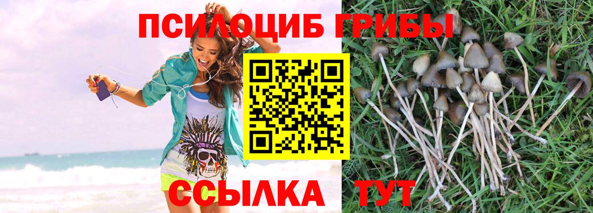 Галлюциногенные грибы MAGIC MUSHROOMS Копейск